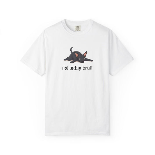 Hairless Dog Not Today Bruh T-Shirt