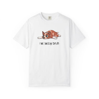 Heeler Not Today Bruh T-Shirt