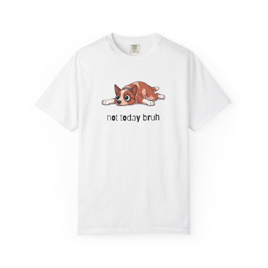 Heeler Not Today Bruh T-Shirt