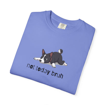 Basenji Not Today Bruh T-Shirt