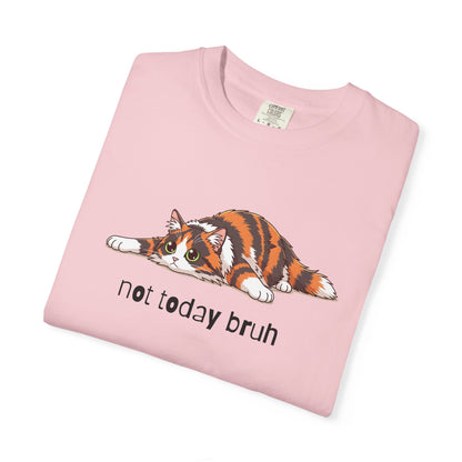 Long hair tortoiseshell cat Not Today Bruh T-Shirt