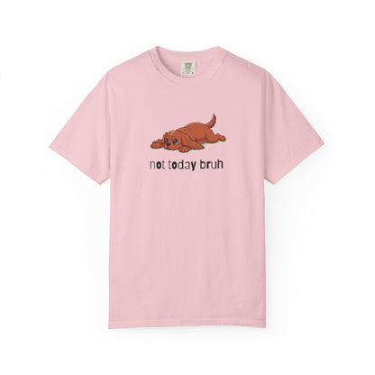 Cavalier Not Today Bruh T-Shirt