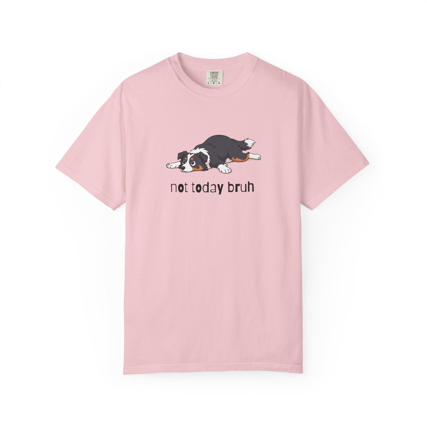 Border Collie Not Today Bruh T-Shirt