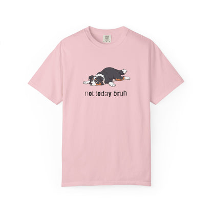 Border Collie Not Today Bruh T-Shirt