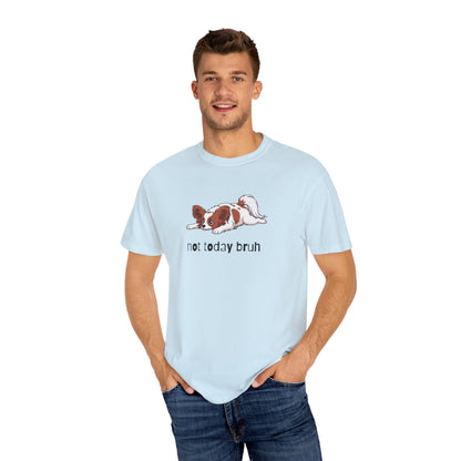 Papillon Not Today Bruh T-Shirt