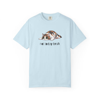 Long hair calico cat Not Today Bruh T-Shirt