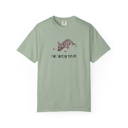 Hairless Dog Not Today Bruh T-Shirt