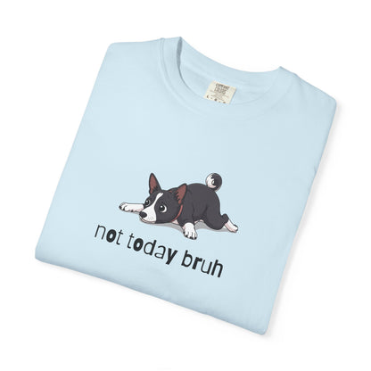 Basenji Not Today Bruh T-Shirt