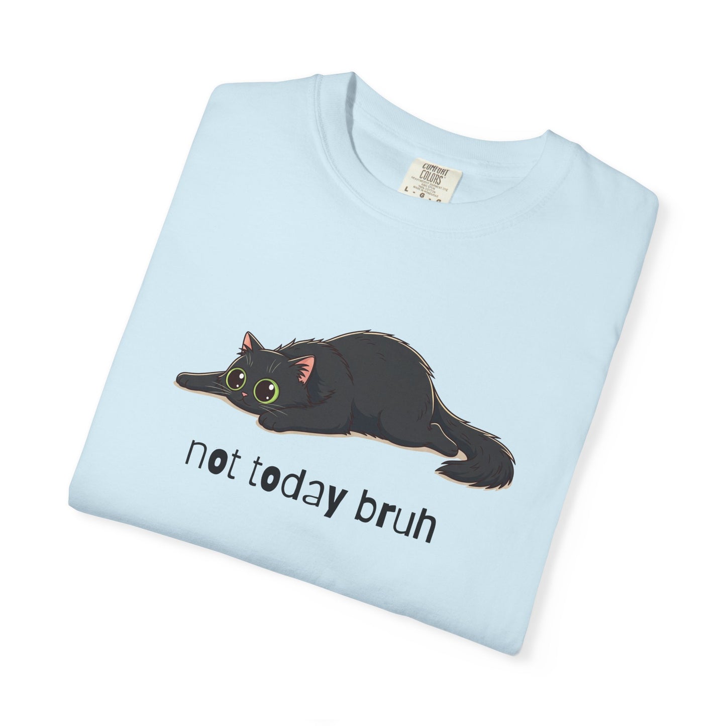 Long hair black cat Not Today Bruh T-Shirt