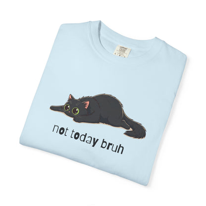 Long hair black cat Not Today Bruh T-Shirt