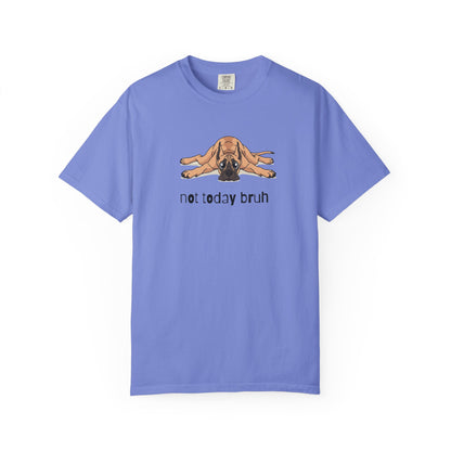 Great Dane Not Today Bruh T-Shirt
