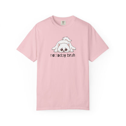 Pomeranian Not Today Bruh T-Shirt