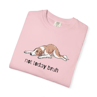 Borzoi Not Today Bruh T-Shirt