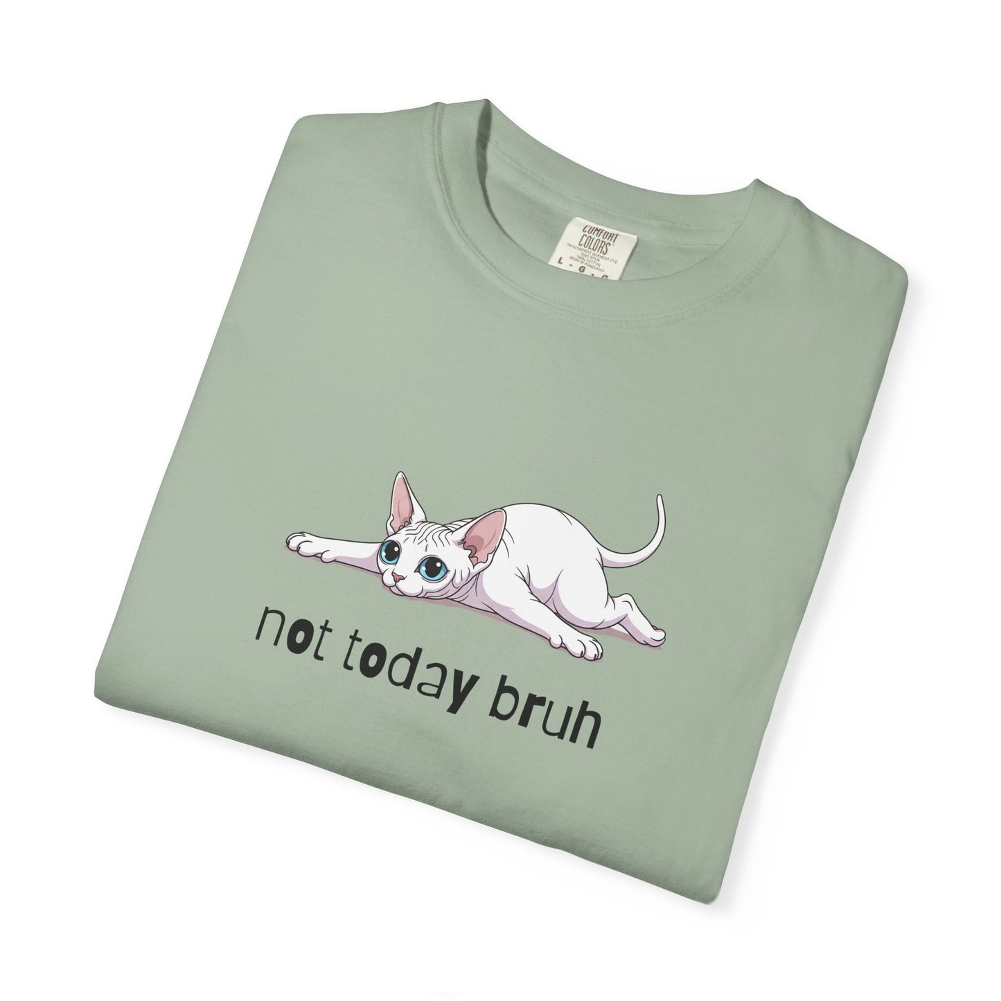 Sphynx Not Today Bruh T-Shirt