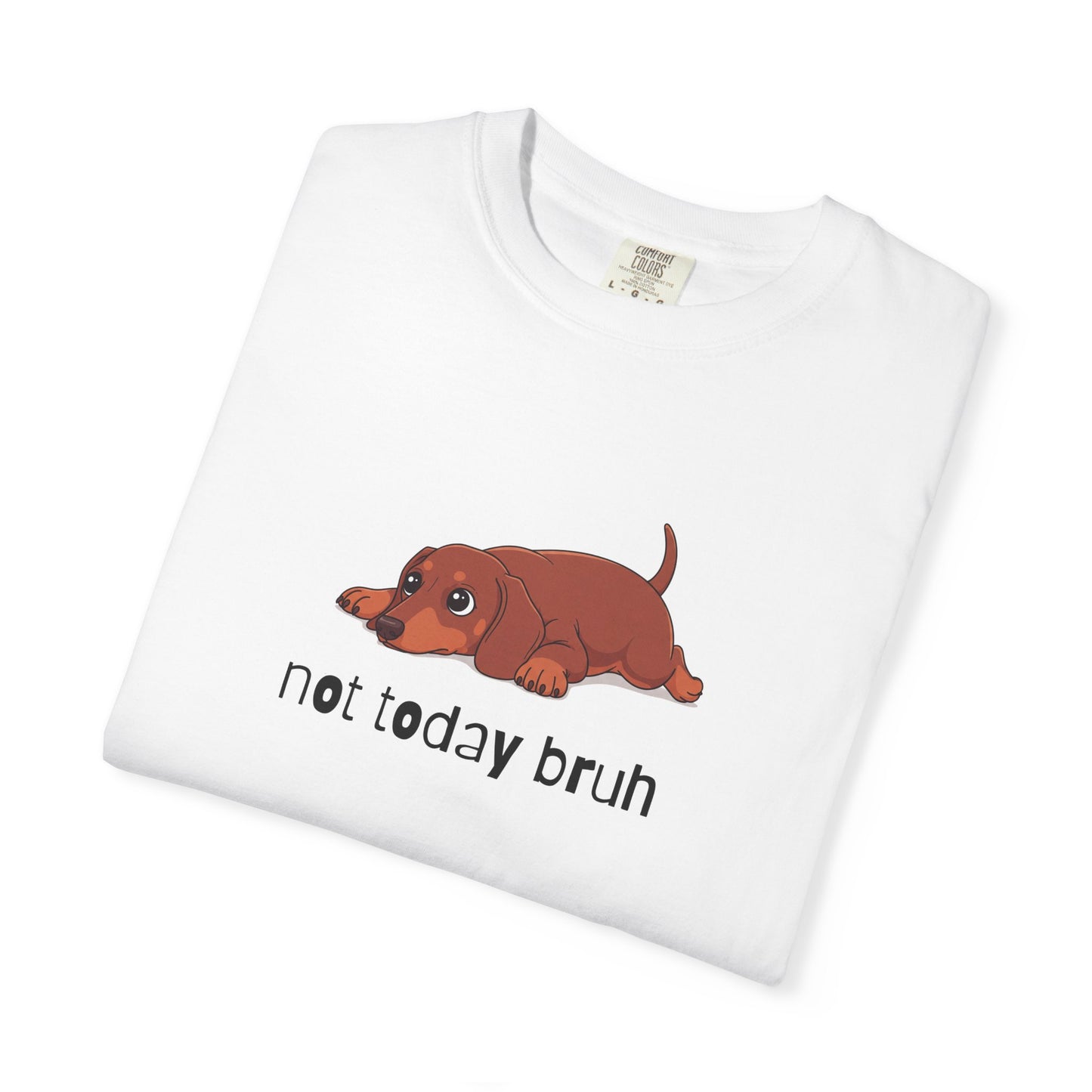 Dacshund Not Today Bruh T-Shirt