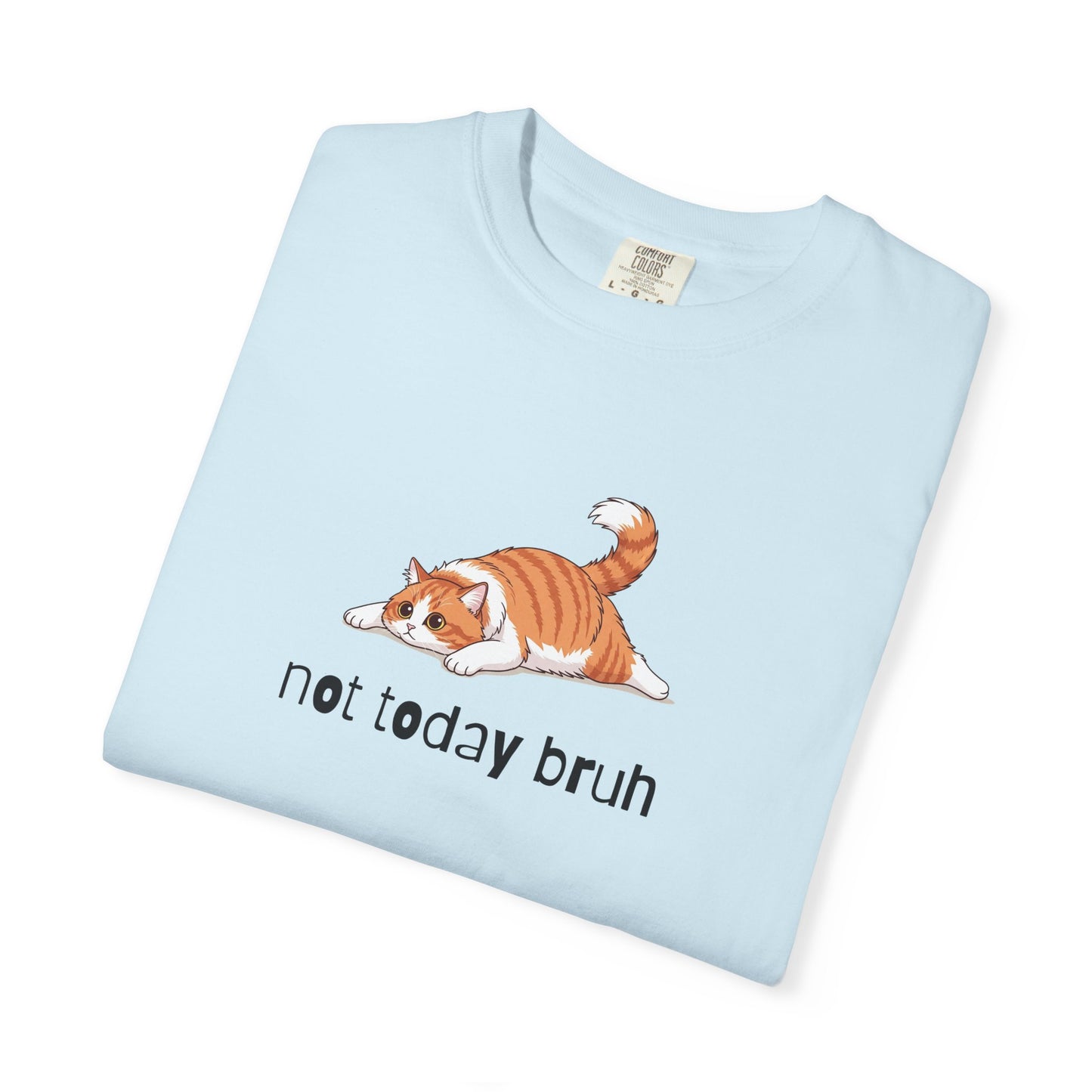 Long hair bi-color orange cat Not Today Bruh T-Shirt