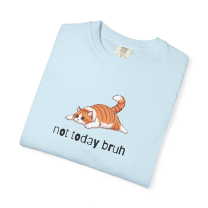 Long hair bi-color orange cat Not Today Bruh T-Shirt