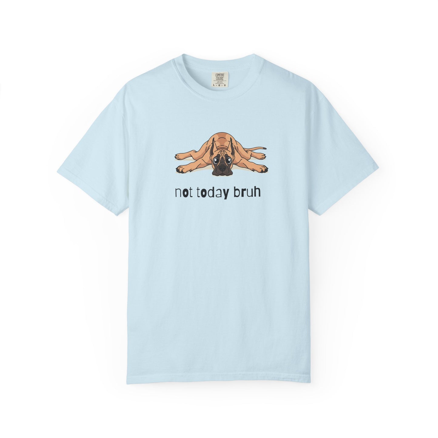 Great Dane Not Today Bruh T-Shirt