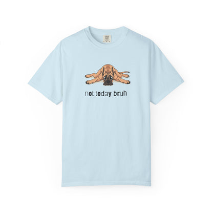 Great Dane Not Today Bruh T-Shirt