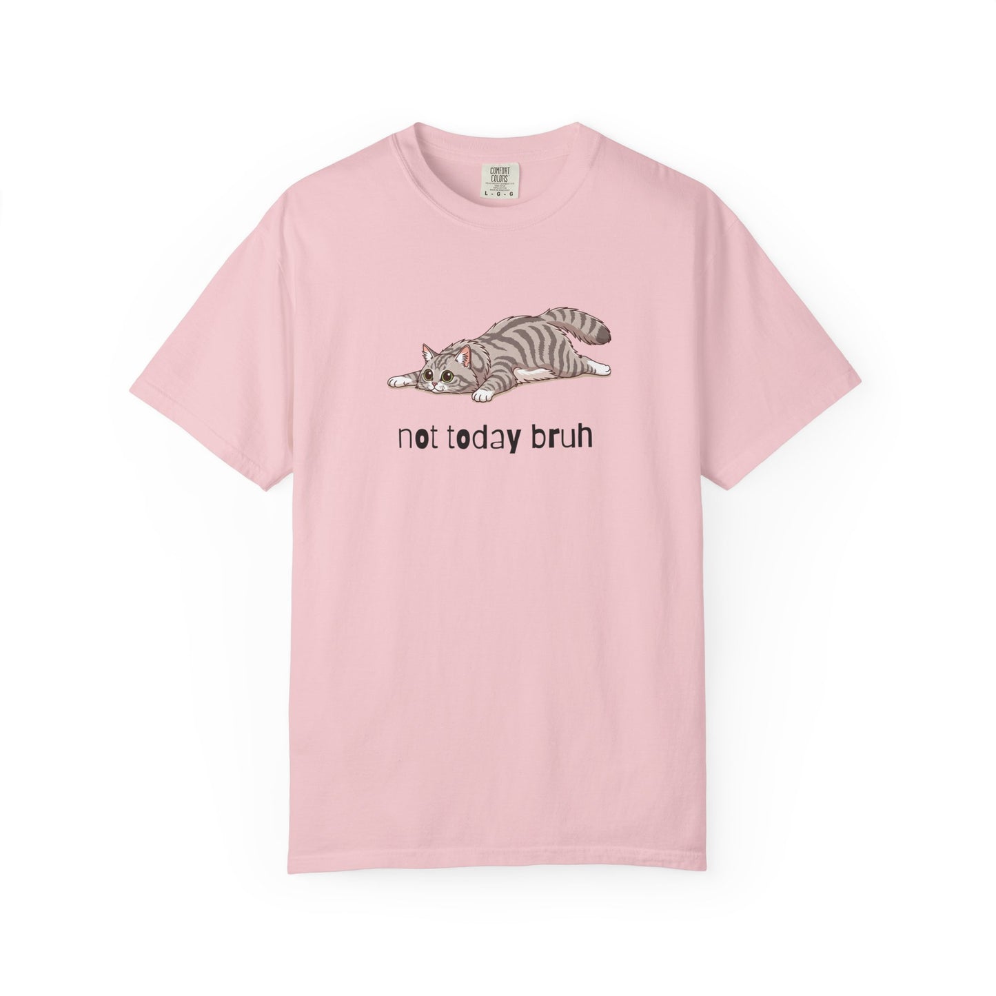 Long hair silver tabby cat Not Today Bruh T-Shirt