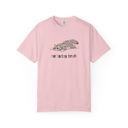 Long hair silver tabby cat Not Today Bruh T-Shirt