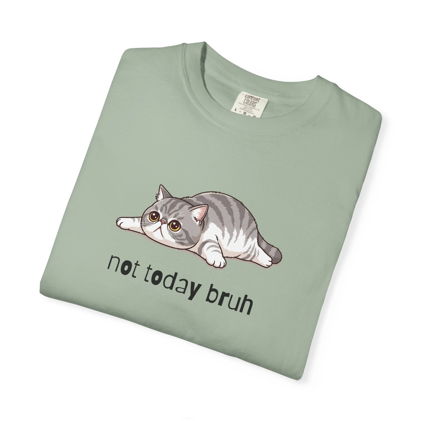 Exotic Shorthair Not Today Bruh T-Shirt