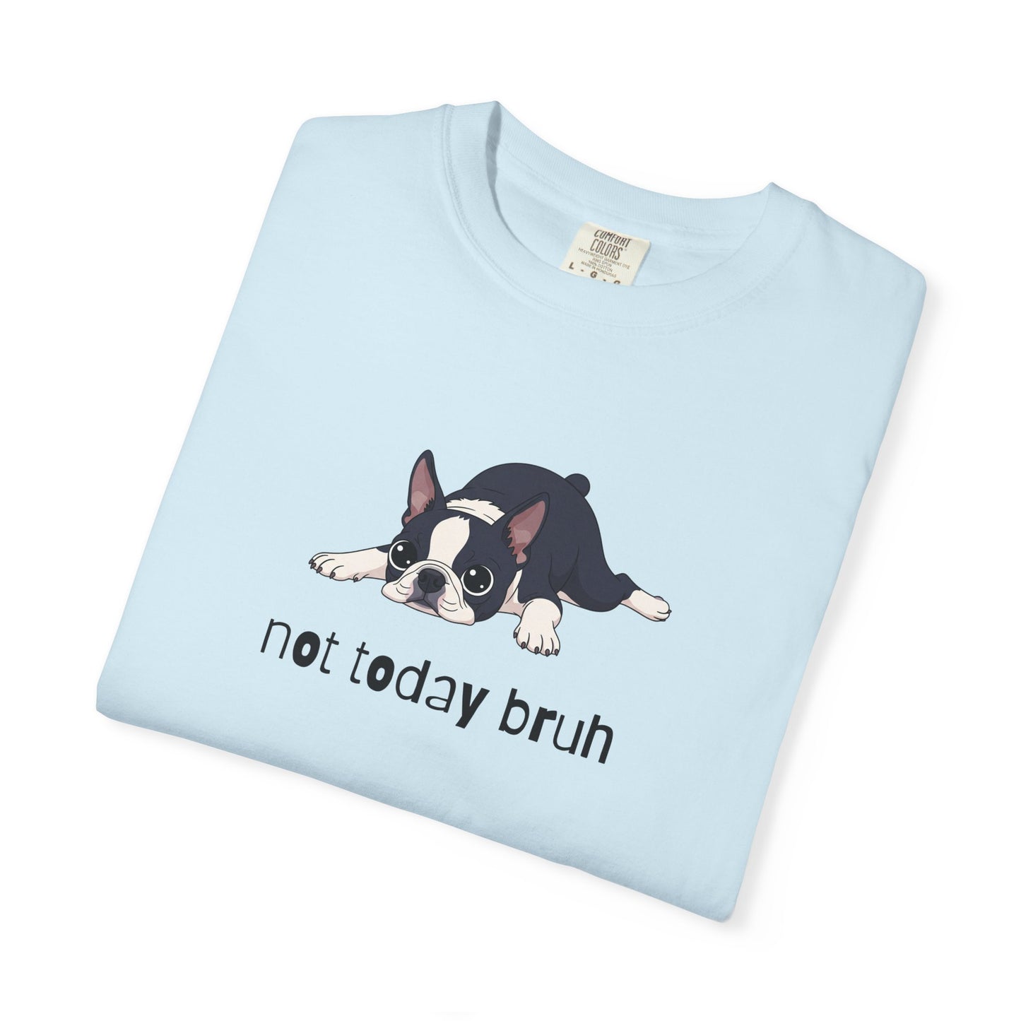 Boston Terrier Not Today Bruh T-Shirt