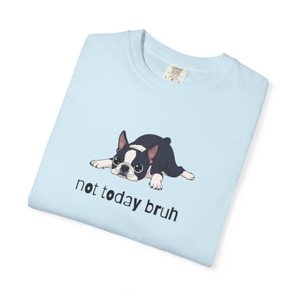 Boston Terrier Not Today Bruh T-Shirt