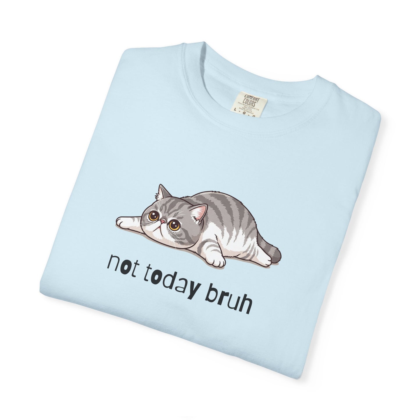 Exotic Shorthair Not Today Bruh T-Shirt