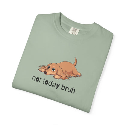 Dacshund Not Today Bruh T-Shirt