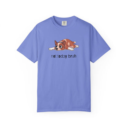 Heeler Not Today Bruh T-Shirt