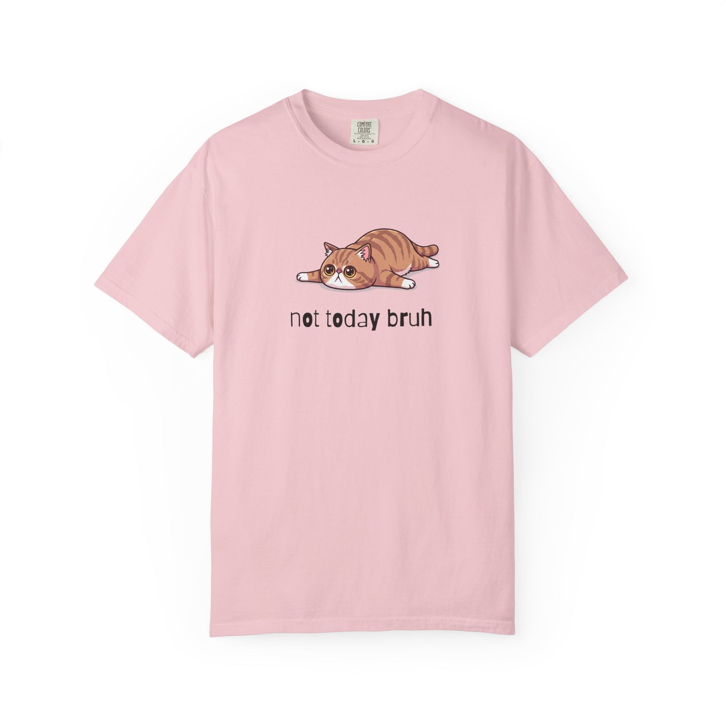 Exotic Shorthair Not Today Bruh T-Shirt