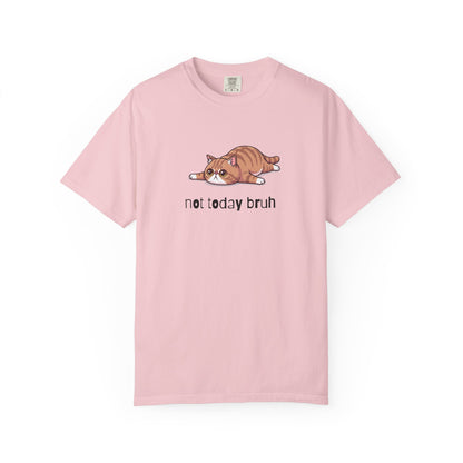 Exotic Shorthair Not Today Bruh T-Shirt