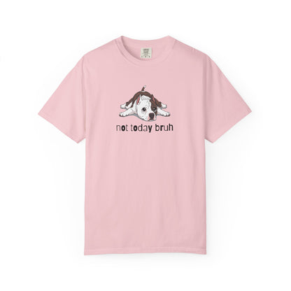 Staffy Not Today Bruh T-Shirt
