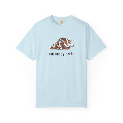 Basset Hound Not Today Bruh T-Shirt