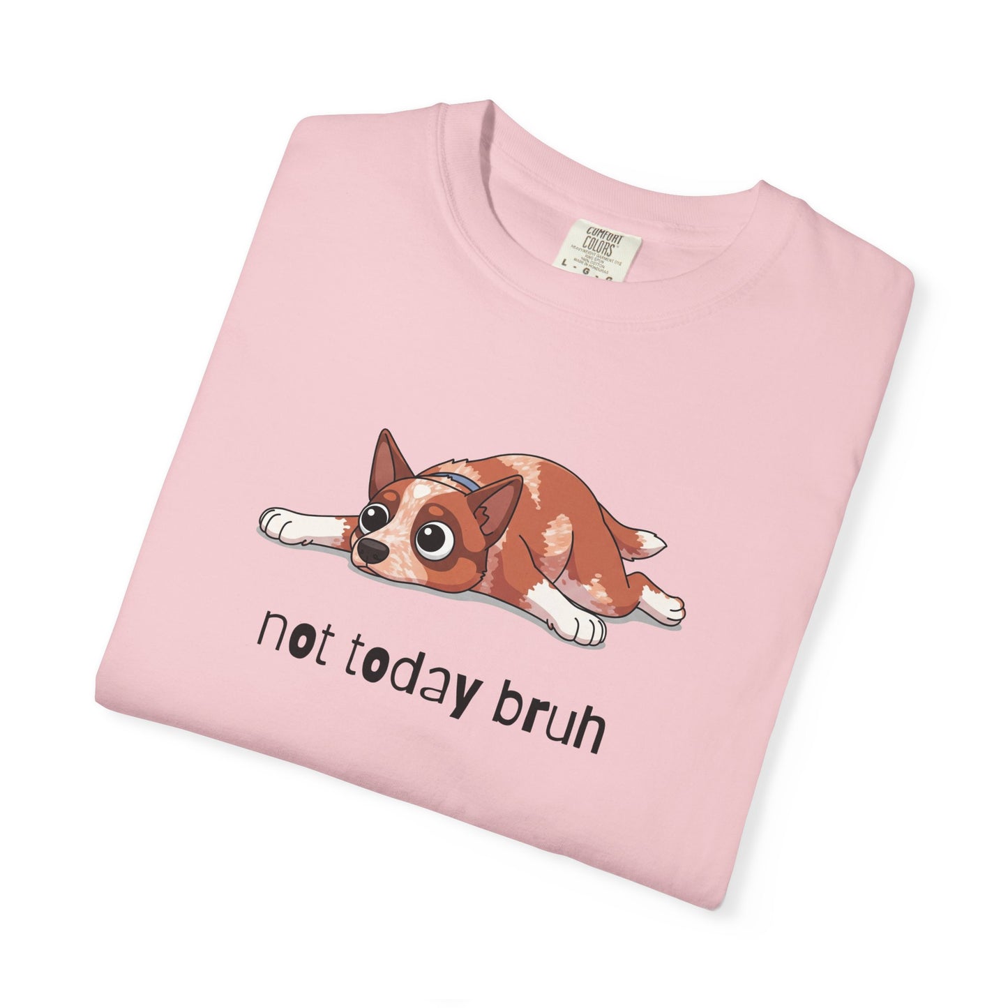 Heeler Not Today Bruh T-Shirt