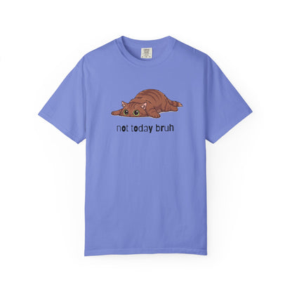 Long hair brown cat Not Today Bruh T-Shirt