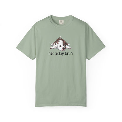 Staffy Not Today Bruh T-Shirt