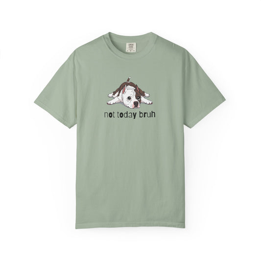 Staffy Not Today Bruh T-Shirt