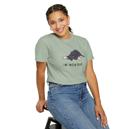 Afghan Hound Not Today Bruh T-Shirt