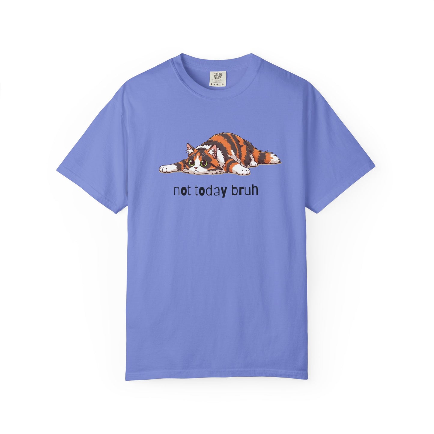 Long hair tortoiseshell cat Not Today Bruh T-Shirt