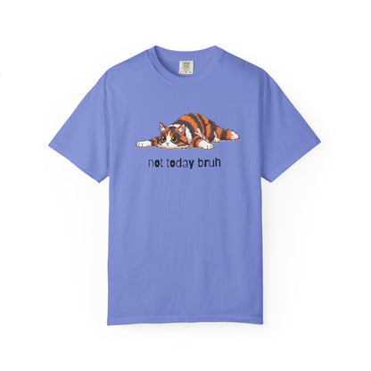Long hair tortoiseshell cat Not Today Bruh T-Shirt