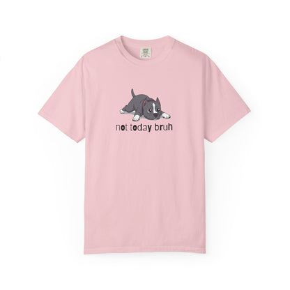Staffy Not Today Bruh T-Shirt