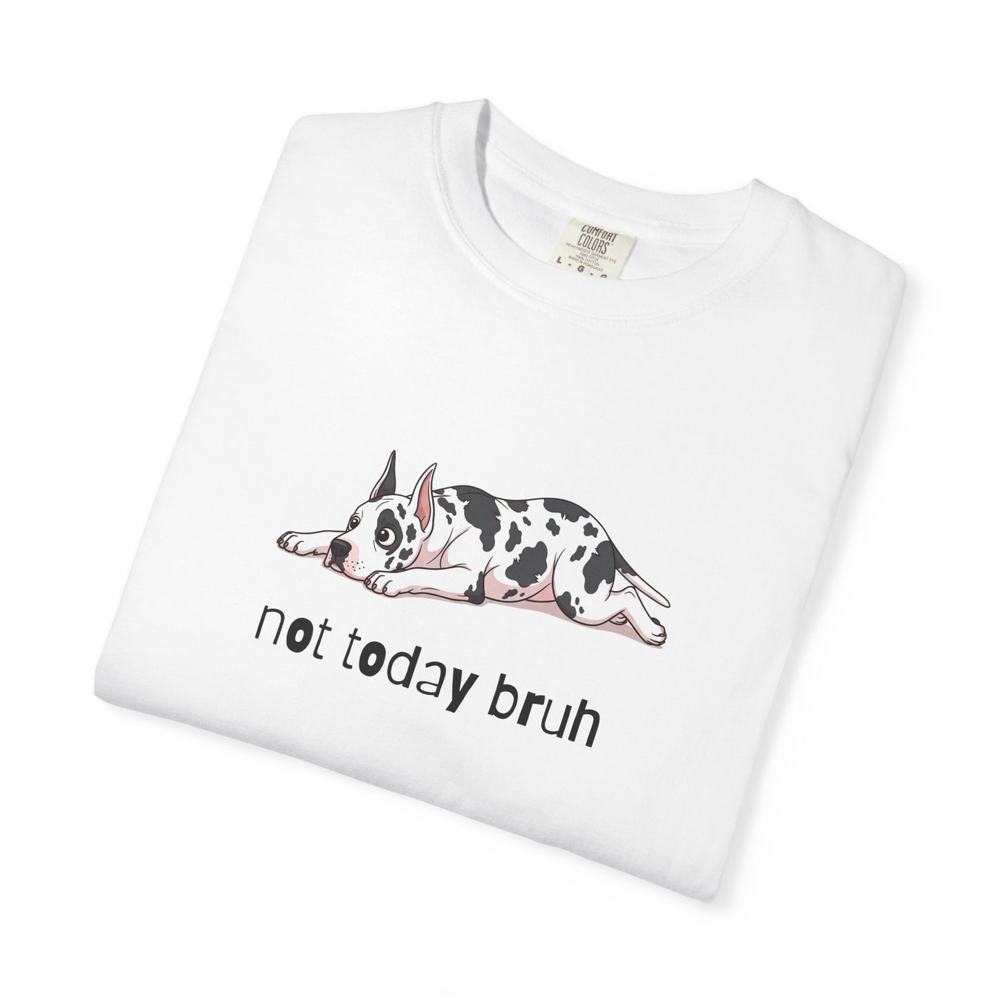 Great Dane Not Today Bruh T-Shirt