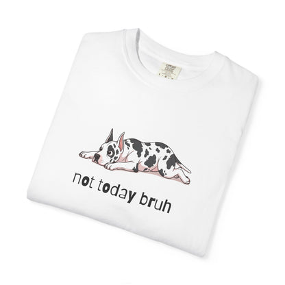 Great Dane Not Today Bruh T-Shirt