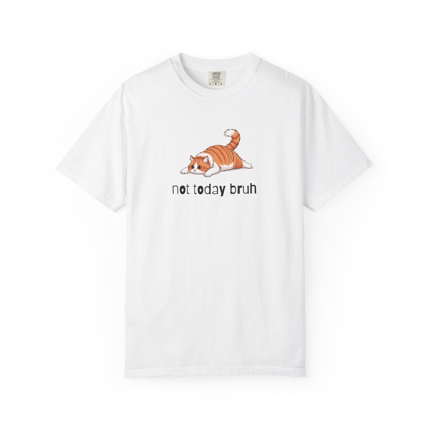 Long hair bi-color orange cat Not Today Bruh T-Shirt