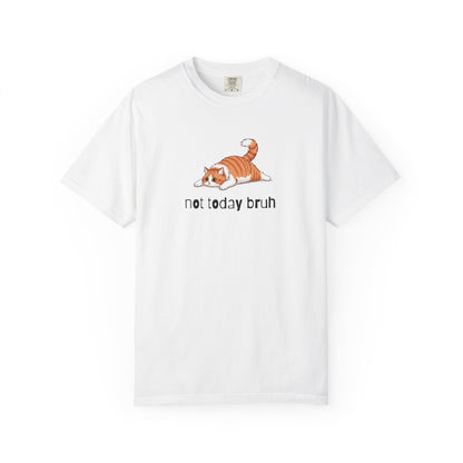 Long hair bi-color orange cat Not Today Bruh T-Shirt
