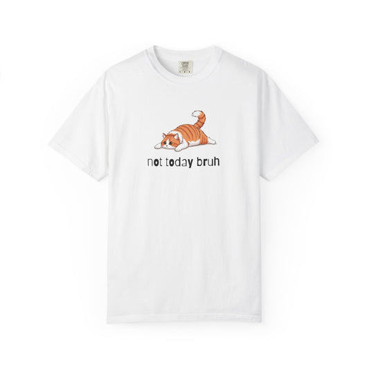 Long hair bi-color orange cat Not Today Bruh T-Shirt