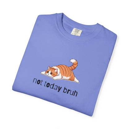 Long hair bi-color orange cat Not Today Bruh T-Shirt