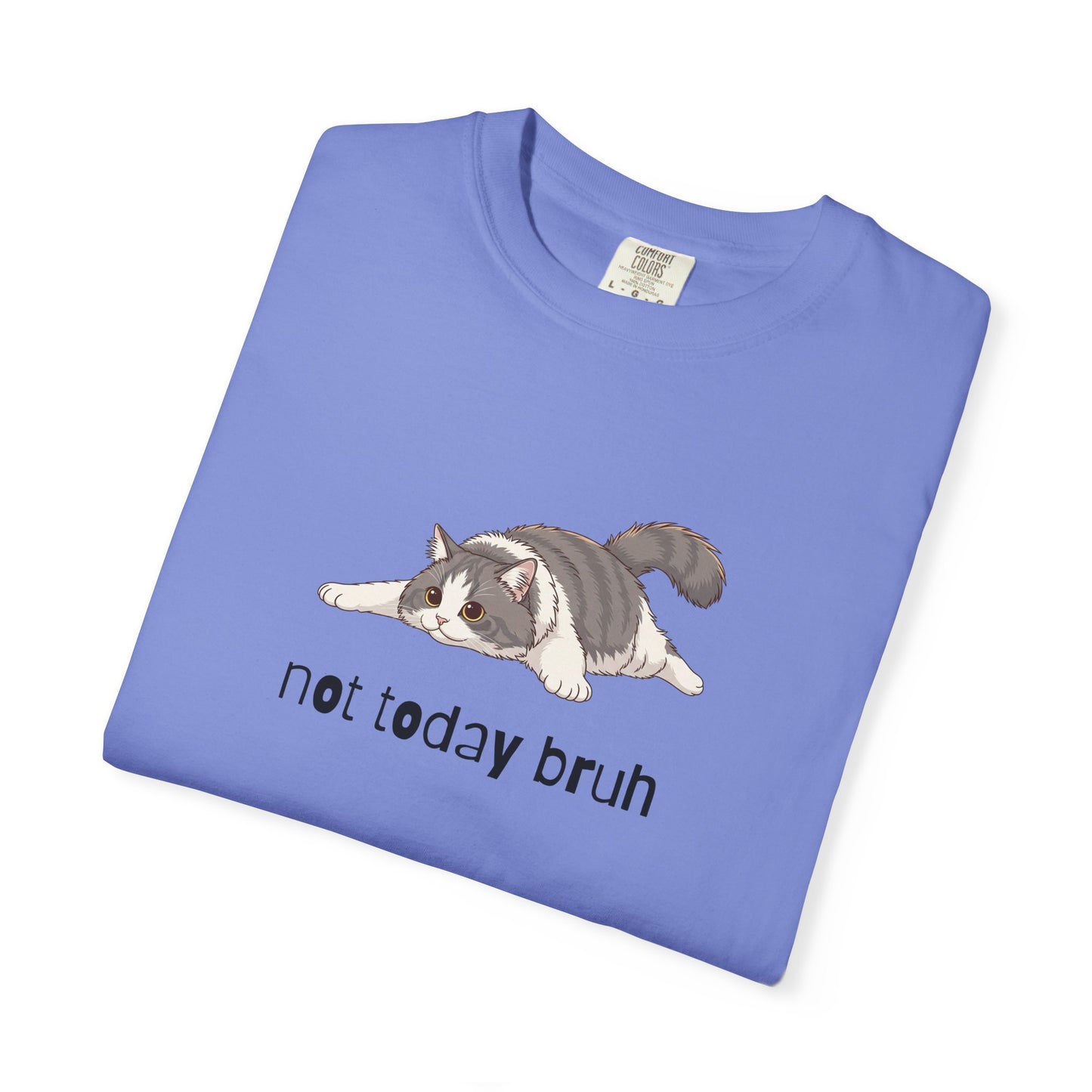 Long hair bi-color gray cat Not Today Bruh T-Shirt
